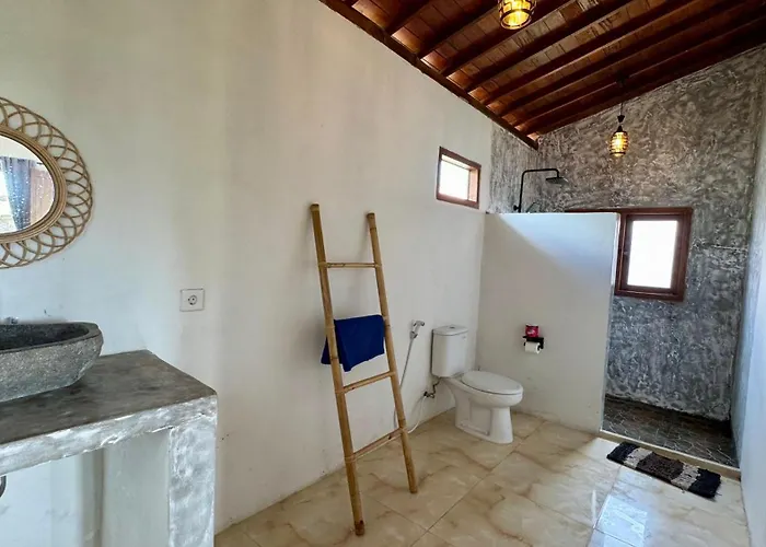 Casa Nova